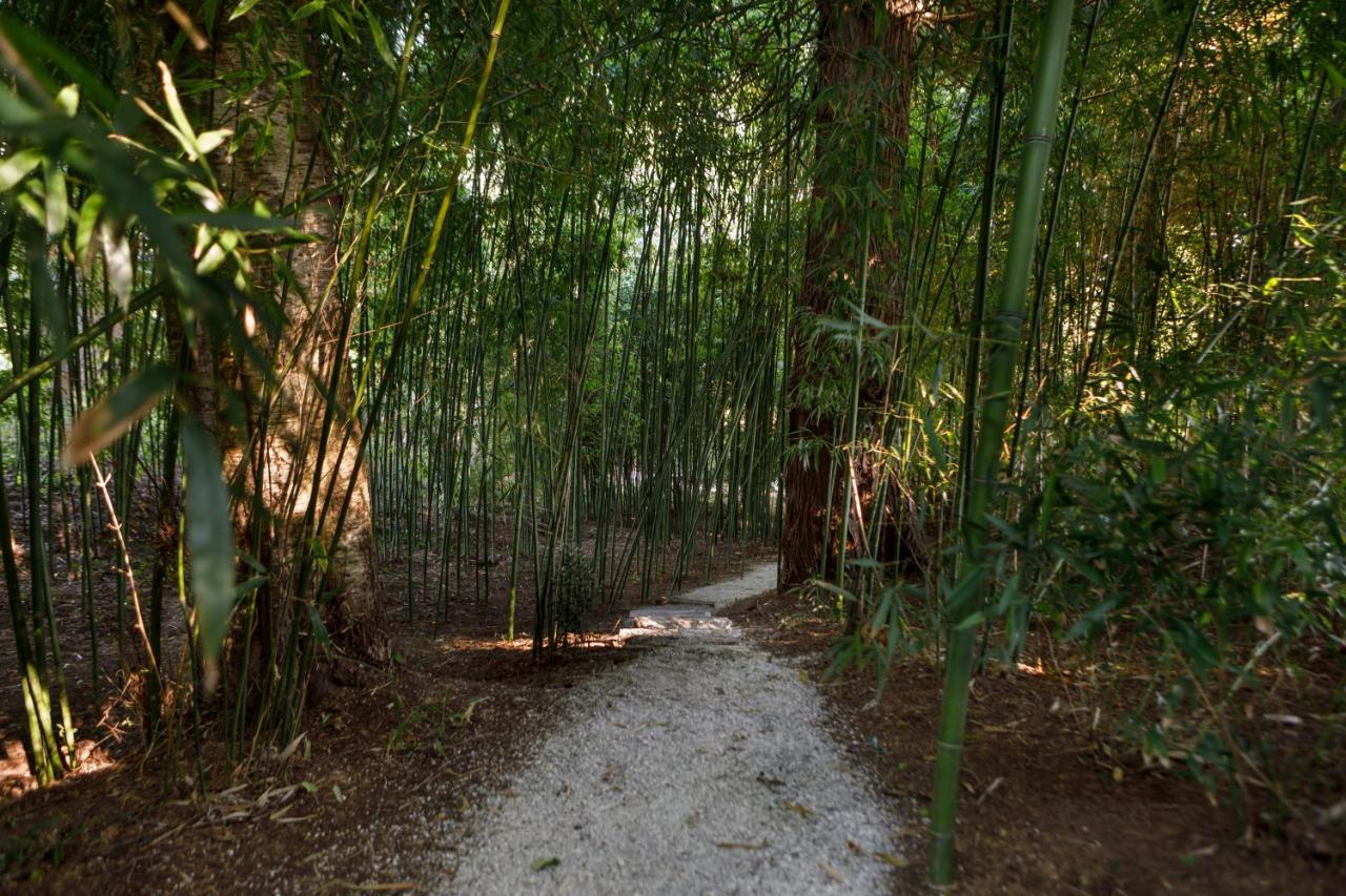 Finca La Peniga Mazcuerras Екстериор снимка